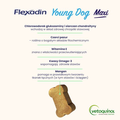 Vetoquinol Flexadin Young Dog Maxi Kąski Dla Psa 60 Sztuk Vetoquinol