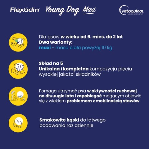 Vetoquinol Flexadin Young Dog Maxi Kąski Dla Psa 60 Sztuk Vetoquinol