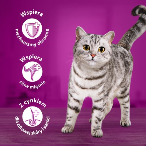 Whiskas Adult Saszetki 40 x 85g Mix Smaków - Mokra Karma Dla Kota Whiskas