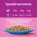 Whiskas Adult Saszetki 40 x 85g Rybne Przysmaki - Mokra Karma Dla Kota Whiskas