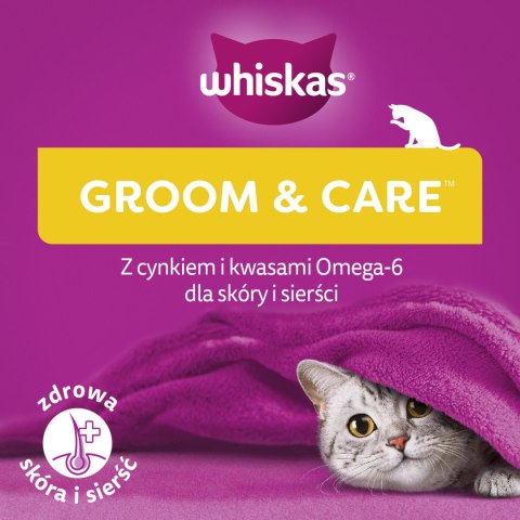 Whiskas Zdrowy Blask Przysmak Dla Kota Z Kurczakiem 45g Whiskas