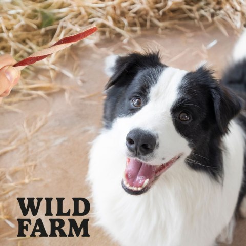 Wild Farm Kanapka Z Kaczką 500g Przysmak Dla Psa Wild Farm