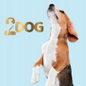 2Dog Cygara ZAJĄC 7 szt