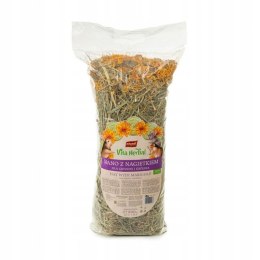 Vitapol Vita Herbal Siano Z Nagietkiem Dla Gryzoni 800g Vitapol