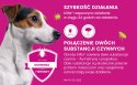 Bayer Kiltix Obroża Na Kleszcze I Pchły Dla Psa 53cm Bayer