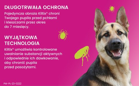 Bayer Kiltix Obroża Na Kleszcze I Pchły Dla Psa 70cm Bayer