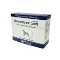 Biowet Bioimmunex Canis 40 Kapsułek Biowet