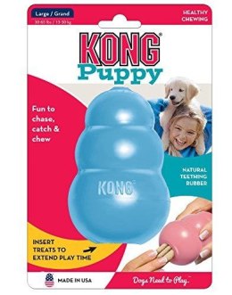 KONG Company Puppy S KONG Company