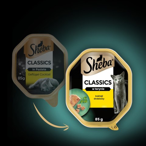 Sheba Classics Koktajl Drobiowy 85g Sheba