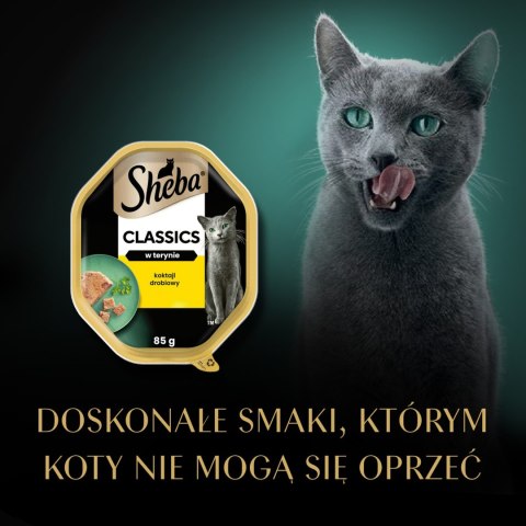 Sheba Classics Koktajl Drobiowy 85g Sheba