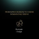 Sheba Classics Koktajl Drobiowy 85g Sheba