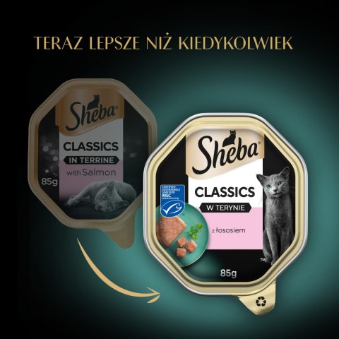 Sheba Classics Z Łososiem 85g Sheba