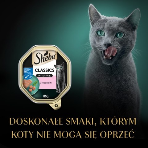 Sheba Classics Z Łososiem 85g Sheba