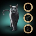 Sheba Classics Z Łososiem 85g Sheba