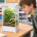 Terrario TerraLoom L - terrarium 12x10x20cm Terrario