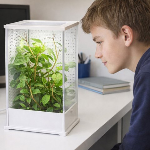 Terrario TerraLoom L - terrarium 12x10x20cm Terrario