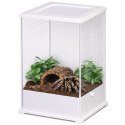 Terrario TerraLoom L - terrarium 12x10x20cm Terrario