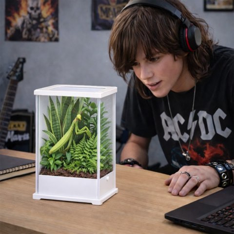 Terrario TerraLoom M - terrarium 10x8x15cm Terrario