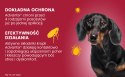 Bayer Advantix Krople Na Kleszcze I Pchły 1ml Bayer