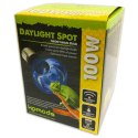 Komodo Daylight 50W - żarówka grzewcza 3w1 Komodo