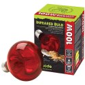 Komodo Infrared 75W - żarówka grzewcza podczerwona Komodo