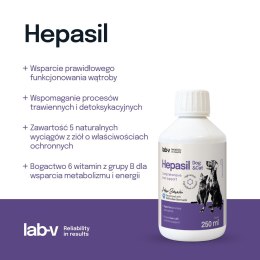 Lab-V Hepasil Dog & Cat Preparat Na Wątrobę Dla Psa I Kota 250ml LAB-V