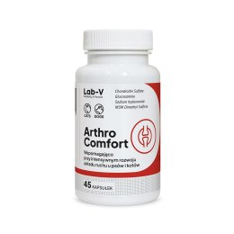 Lab-v Arthro Comfort Kompleksowe Wsparcie Zdrowia Stawów I Układu Ruchu Dla Psów I Kotów 45 Kapsułek LAB-V