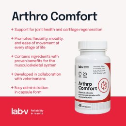 Lab-v Arthro Comfort Kompleksowe Wsparcie Zdrowia Stawów I Układu Ruchu Dla Psów I Kotów 45 Kapsułek LAB-V