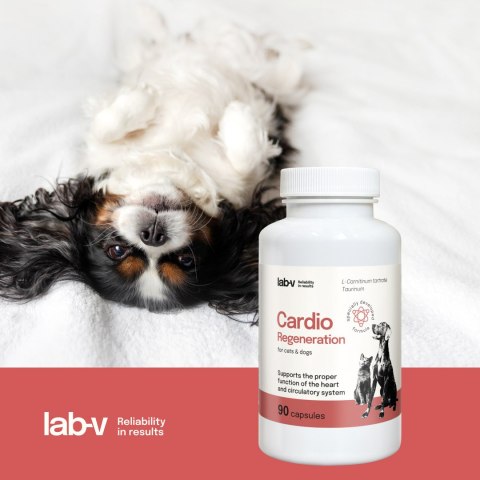 Lab-v Cardio Regeneration 90 kapsułek - wsparcie serca dla psów i kotów LAB-V
