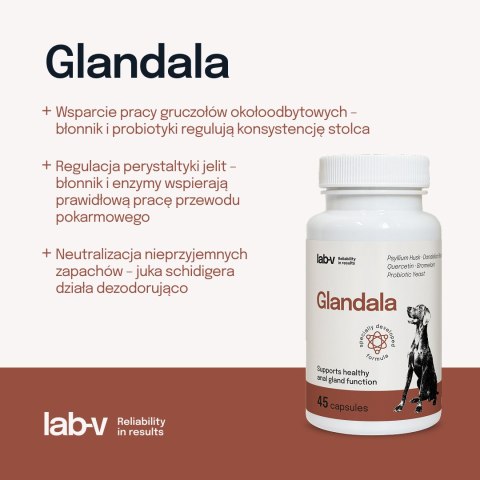Lab-v Glandala Wsparcie Gruczołów Okołoodbytowych i Przewodu Pokarmowego 45 Kapsułek LAB-V