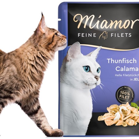 Miamor Filets Thunfisch & Calamari - tuńczyk i kalmary w galarecie 100g Miamor