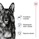 ROYAL CANIN Maxi Adult 4kg Royal Canin