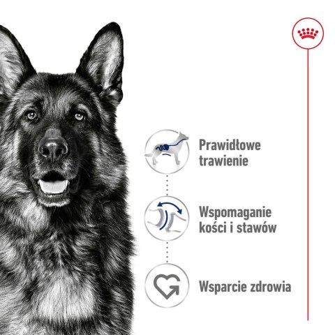 ROYAL CANIN Maxi Adult 4kg Royal Canin