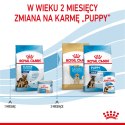 ROYAL CANIN Maxi Starter Mother & Babydog 15kg Royal Canin