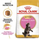 ROYAL CANIN Maine Coon Kitten 400g Royal Canin