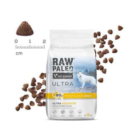 Vetexpert Raw Paleo Ultra Karma Dla Psów Dorosłych Large Indyk 2kg RAW PALEO