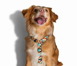 ZEE DOG Szelki H Phantom L ZeeDog