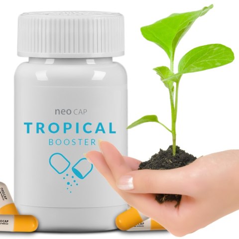 Neo Cap Tropical Booster - 20 kapsułek pożywka dla bakterii i czyszczenie wody NEO MEDIA