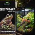 Terrario ForestHeart Sphagnum Moss - mech torfowiec 100g Terrario