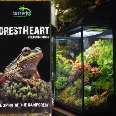 Terrario ForestHeart Sphagnum Moss - mech torfowiec 100g Terrario