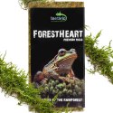 Terrario ForestHeart Sphagnum Moss - mech torfowiec 100g Terrario