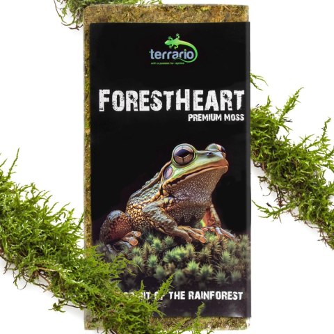 Terrario ForestHeart Sphagnum Moss - mech torfowiec 100g Terrario