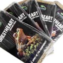 Terrario ForestHeart Sphagnum Moss - mech torfowiec 100g Terrario