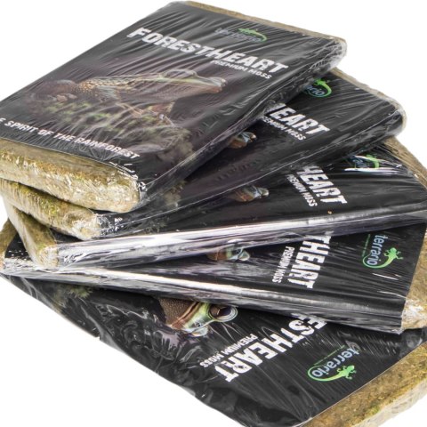 Terrario ForestHeart Sphagnum Moss - mech torfowiec 100g Terrario