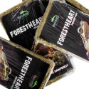 Terrario ForestHeart Sphagnum Moss - mech torfowiec 100g Terrario