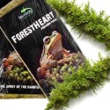Terrario ForestHeart Sphagnum Moss - mech torfowiec 100g Terrario