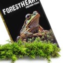 Terrario ForestHeart Sphagnum Moss - mech torfowiec 100g Terrario