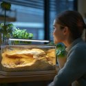 Terrario ReptoRay 12W - lampa LED do terrarium 50cm Terrario