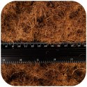 Terrario Terra Bedding 5l - podłoże z włokien kokosa 1-3cm Terrario