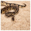 Repti-Zoo Aspen Snake Bedding - podłoże włókna topoli 500 g Repti-Zoo
